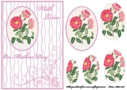 Mothers Day Roses 3