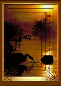 Sunset Swan