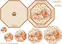 Sleepy Kitty Octagonal Pyramid Quick Card