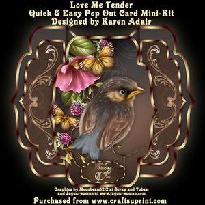 Love Me Tender Quick & Easy Pop-out Card Mini-kit