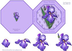 Iris Octagonal Quick Card with Decoupage