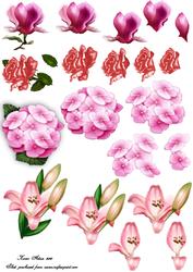 Floral Decoupage Sheet
