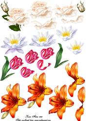 Floral Decoupage 2