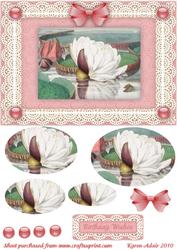 Water Lily 'n Lace Pyramid Card Front