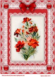 Carnations 'n Lace A4 Card Front
