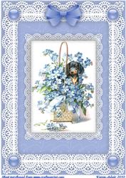 Forget Me Nots, Puppy 'n Lace A4 Card Front