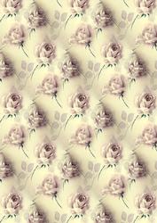 Cream Roses