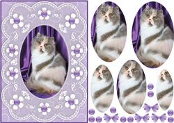 Kute Kitty 'n Lace A5 Pyramid Card Front