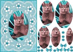 Kute Kitty 'n Lace 2 - A5 Pyramid Card Front
