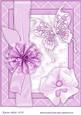 Butterfly, Bloom 'n Bow in Pink A4 Card Front