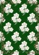Embossed Pansies on Green with Gold Frame Card Front