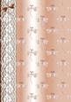 Dragonflies 'n Lace Background/card Front in Peach