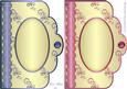Swirls and Curls Scallop Edge Card Fronts - Blue and Pink