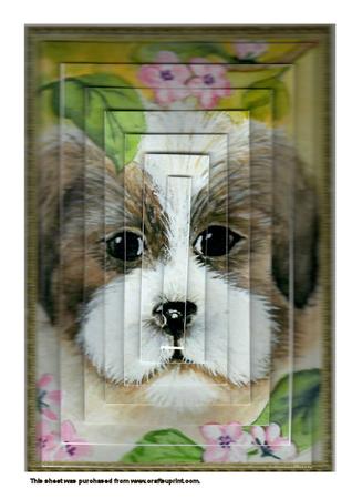 A4 Little Dog Pyrimage Kit