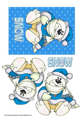 Polar Bear Dressed for Snow
