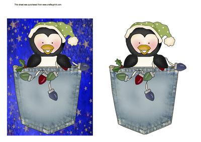 Penquin in a Pocket