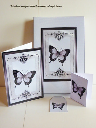 Elegant Butterfly Stationery Box Kit