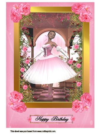 A4 Pink Rose Ballerina Kit
