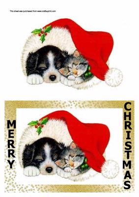 Cat and Dog Cosying Up Together