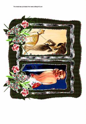 Twin Framed Ladies