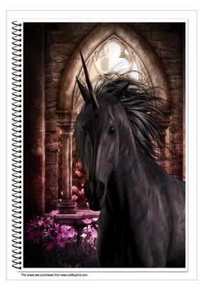 A4 Black Beauty Binder Book
