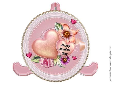 Heart on a Plate Mini Kit