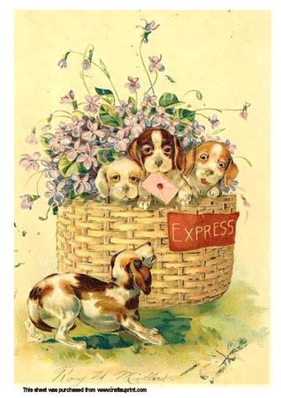 A4 Basket Full of Dogs Pyrimage Kit