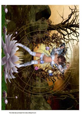 A4 Zodiac Fairy