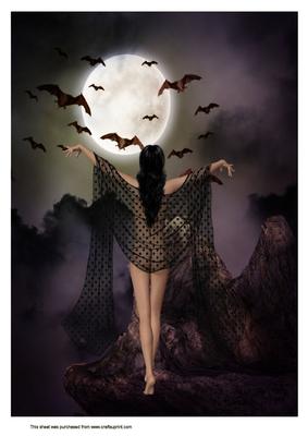 A4 Moonlight Beauty