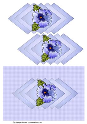 Decorative Pansy