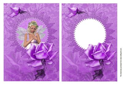 Lilac Rose Beauty