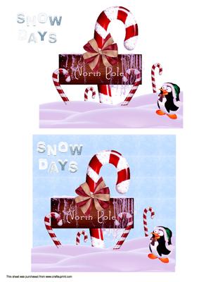 Snow Days in the North Pole