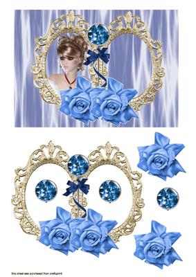 Framed Rose Beauty