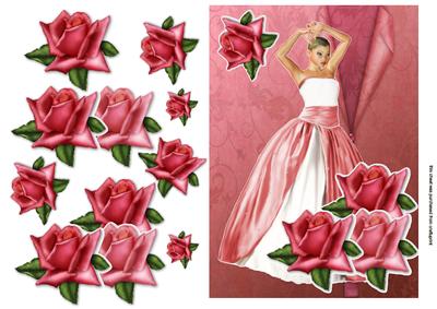 Pink Rose Beauty