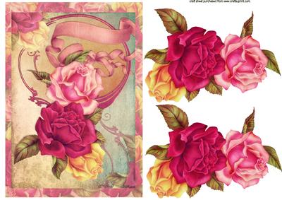 Roses Galore