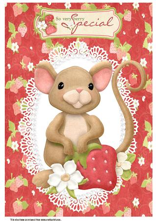 A4 Berry Special Mouse Kit