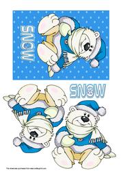 Polar Bear Dressed for Snow