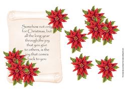 Poinsetta Message