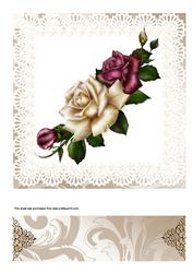 Framed Roses