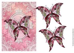 Pink Butterfly
