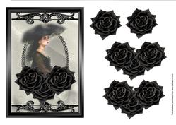 Black Beauty