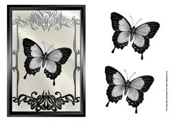 Butterfly Elegance