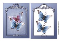 Elegant Butterflies