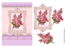 Pink Flowers