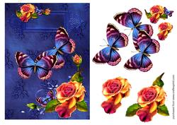 Butterfly World