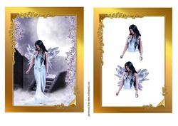 Moonlight Fairy