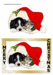 Cat and Dog Cosying Up Together