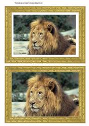 Framed Lion
