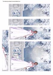 Wedding Tunnel Sheet