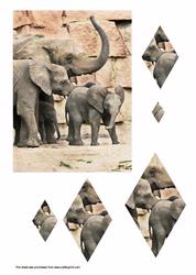 Elephant Pyrimage